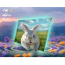 U55QM10 CHIQ 55 INCH 4K QLED Google TV 
